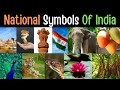 National Symbols of India |  National Symbols of India for Kids in English | India National Symbol