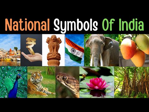 National Symbols of India for Kids in English
