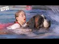 Beethoven Rescues Drowning Girl Beethoven 1992 Screen Bites