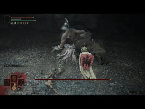 Wild strikes + bleed