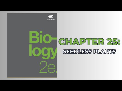 OpenStax Biology 2e (Audiobook) - Chapter 25: Seedless Plants