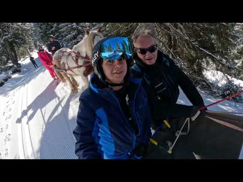 Avoriaz & Alta Lumina, Les gets, France