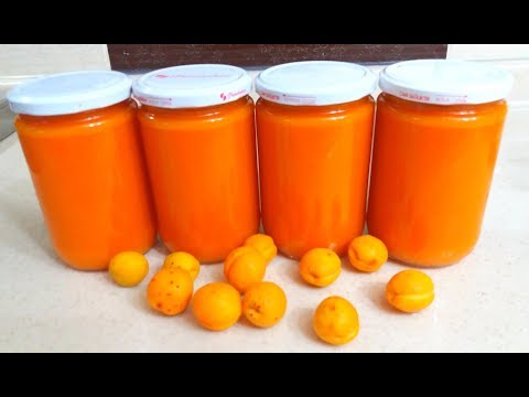 konsantre kayısı suyu ile ilgili görsel sonucu