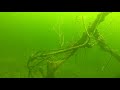 channel