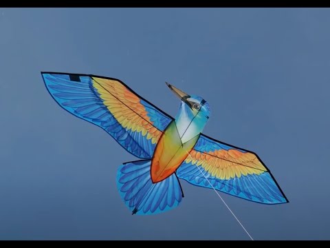 Product video
