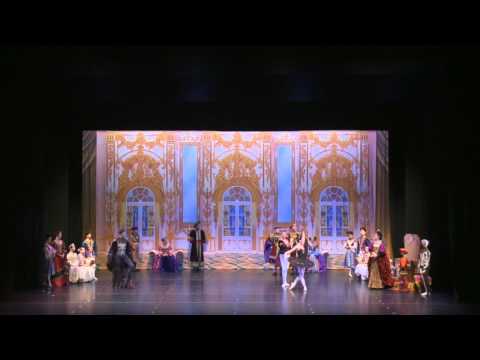 Swan Lake act 3 Black Swan Coda