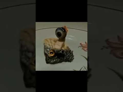 Crazy experiment injecting Human Cells into animal eggs 😲 #knowledge #facts #factazdshorts #shorts