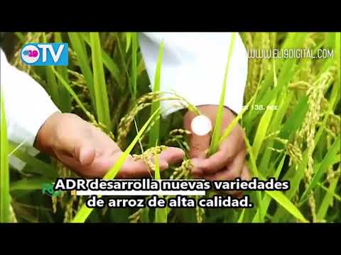 Delegados del Sistema Nacional de Producción, Consumo y Comercio se capacitan en temas productivos