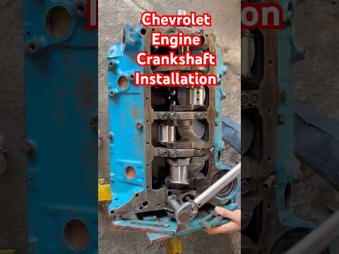 Chevrolet engine crankshaft installation. #shorts #chevrolet #engine #crankshaft #diy #installation