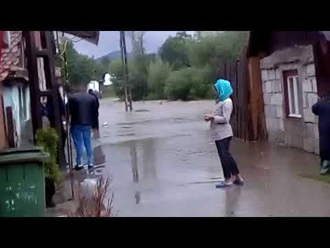 Apa di. Maierus varog sa va uitati pe facebook cul meu Nicoleta Vilaghi