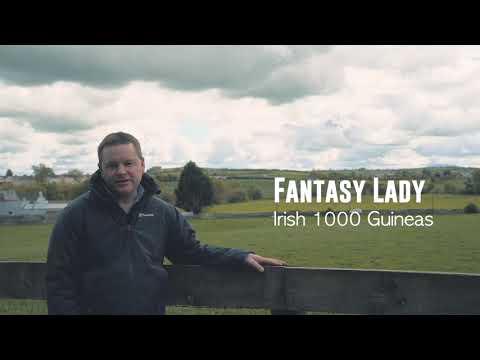Paddy Twomey Irish Guineas Weekend Preview