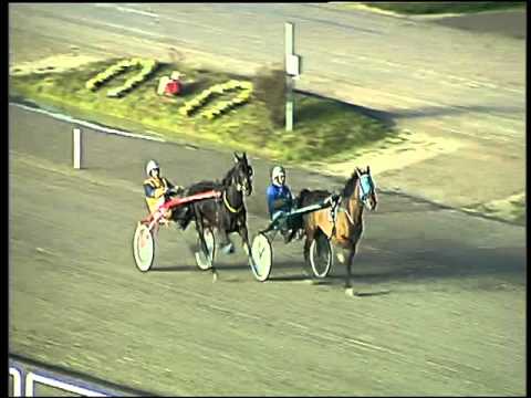 Trotto 14/02/2016 - prova di qualifica