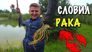 Как поймать на мясо рака карпа