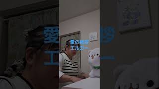 Download lagu 愛の挨拶、エルガー作曲 白いピアノに変えました。木村理華、ピアノ演奏 よろしくお願いします!(独学) mp3 Download lagu 愛の挨拶、エルガー作曲 白いピアノに変えました。木村理華、ピアノ演奏 よろしくお願いします!(独学) mp3