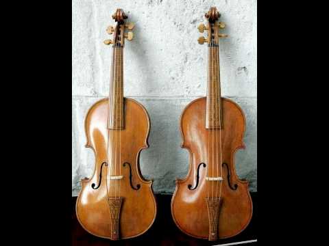 (3) J.S. Bach - Double Violin Concerto in d minor, BWV 1043 (Andrew Manze & Rachel Podger)