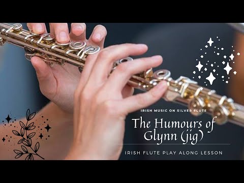 Irish Music on Silver Flute | Irish Flute Play Along Lesson | The Humours of Glynn (jig)
