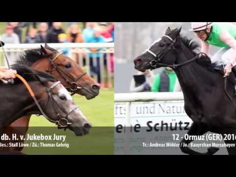 Rückschau IDEE 149. Deutsches Derby und Vorschau auf das IDEE 150. Deutsches Derby