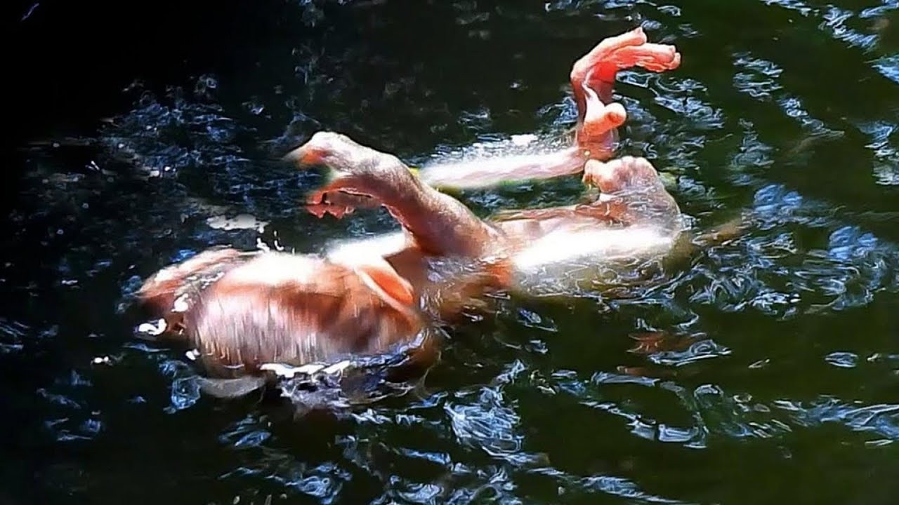 No way please help!! this is so sad and terrible.