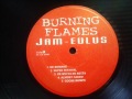 Burning Flames   De Romans