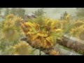 OMAR AKRAM - A Vision Of You 
