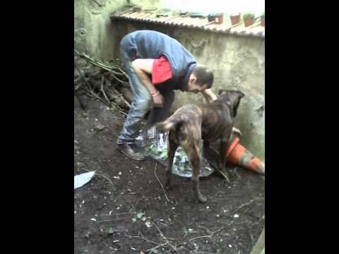 FALCO Présentation!