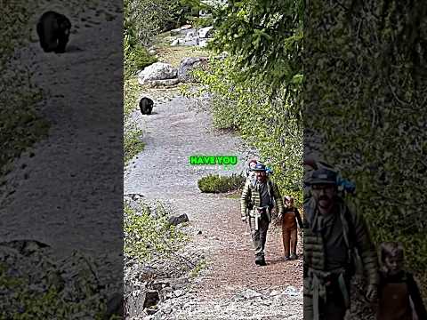 Joe Rogan on Hiker Family Survives Grizzly Bear Encounter