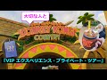 【usj】大切な人と満喫！vip エクスペリエンス・プライベート・ツアー【新エリアも！】