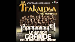 Amor De Marca-Banda la Trakalosa De Monterrey