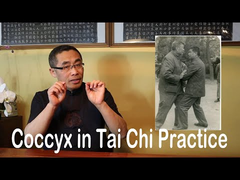 Internal Style Concepts (70): Coccyx Practice in Tai Chi