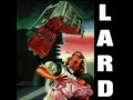 lard - pineapple face