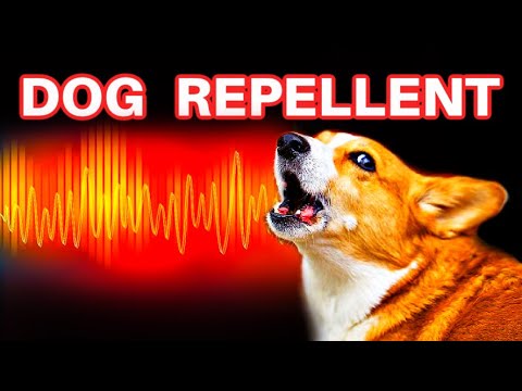 Dog Repellent Sound Frequency