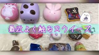 最近よく触るスクイーズ紹介😺（雑音注意）
