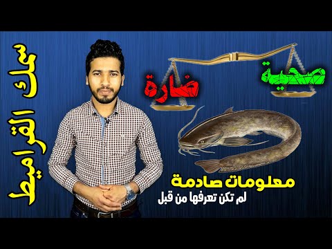 , title : 'The benefits and harms of catfish ! | فوائد واضرار سمك القراميط - السلور , نصائح عند الشراء'
