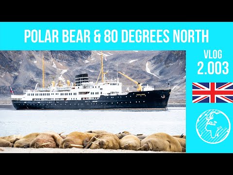 Polar bear & 80 degrees north | Day 2 | Nordstjernen (Hurtigruten Expeditions) | Vlog 2.003
