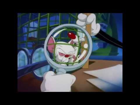 Loki - (Metal Cover) Minus et Cortex Générique (Pinky and the Brain Opening)