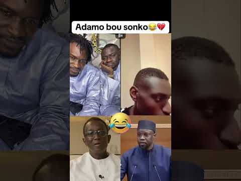 Adamo bou Sonko 🤣🤣🤣🤣