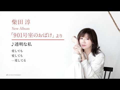 柴田 淳 - 透明な私 のサムネイル