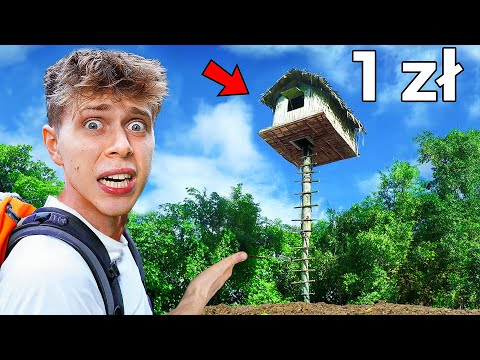 1 PLN vs 1000 PLN TREE HOUSE!