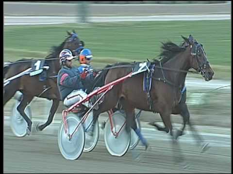 Trotto 30/12/2016 - 4ª corsa