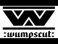 Wumpscut _ In_the_Peace_of_Night