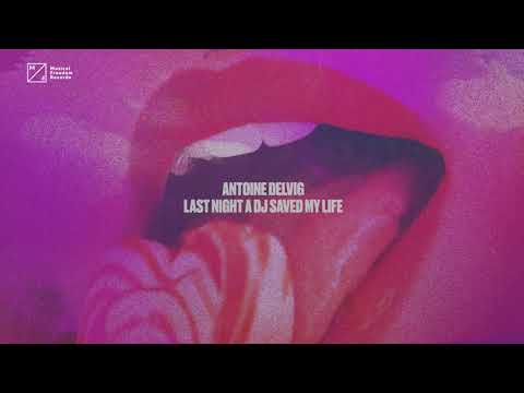 Antoine Delvig - Last Night A DJ Saved My Life (Official Visualizer)