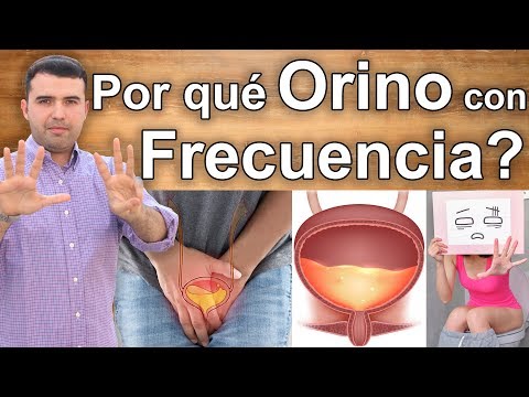 8 Razones Por las Que Estas Orinas Con Frecuencia