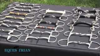 Horse Bits: How They Work and When to Use