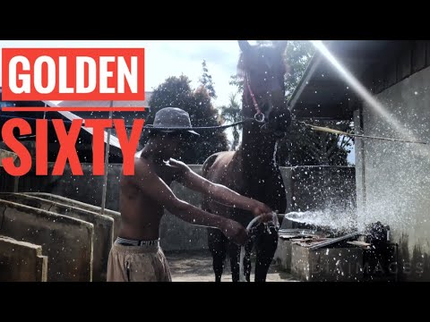 KUDA PACU GOLDEN SIXTY || KONTINGEN DARI BUKITTINGGI ‼️ACARA HUT TNI-AU 75 TAHUN