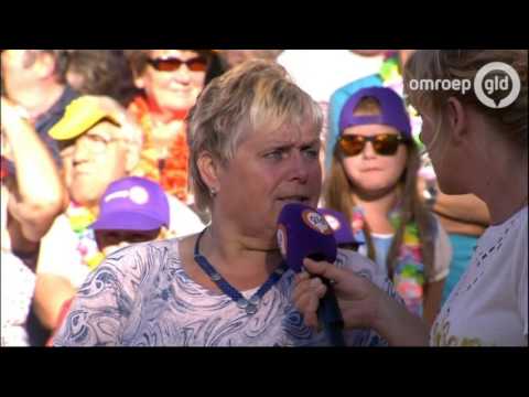 Zomer in Gelderland 17 augustus 2016 - Garderen