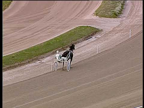 Trotto 22/10/2019 - prova di riqualifica