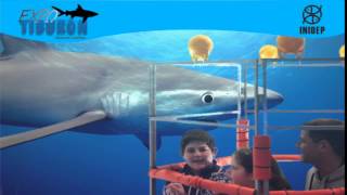 DIA 3 Expo Tiburon112