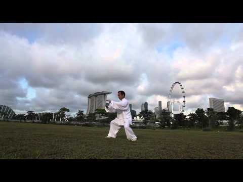 Master Daniel Tan   Yang Style Taiji   24 Form