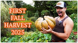 Our Very Abundant First Fall Harvest