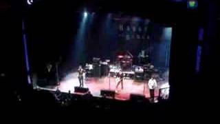 Weston - Feelings Stupit Feelings